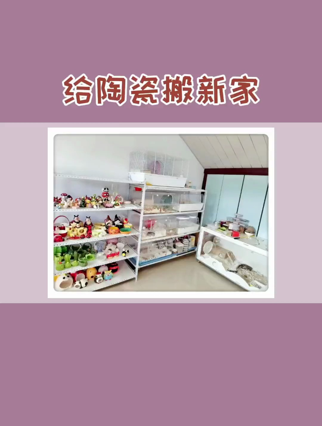 给陶瓷们搬新家啦,抽个粉丝儿送39陶瓷盲盒哦～