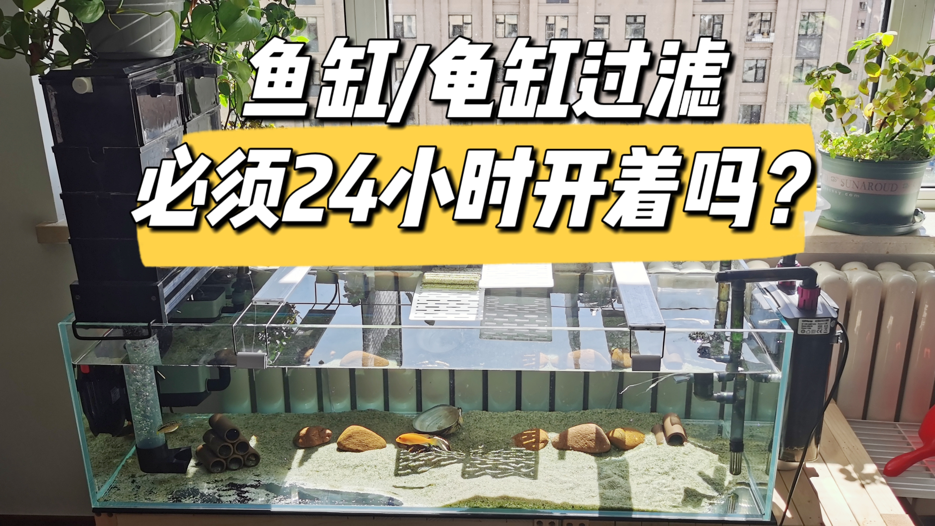 春暖花开,打造高颜值龟缸!鱼缸/龟缸过滤需要24小时开吗?