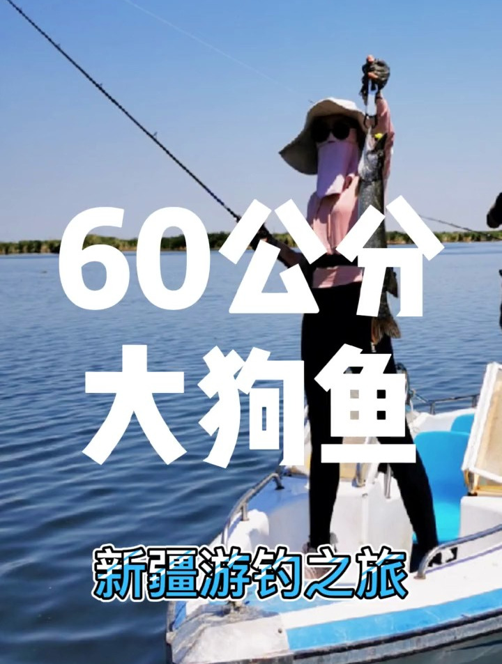 你钓过最大的狗鱼有多长?