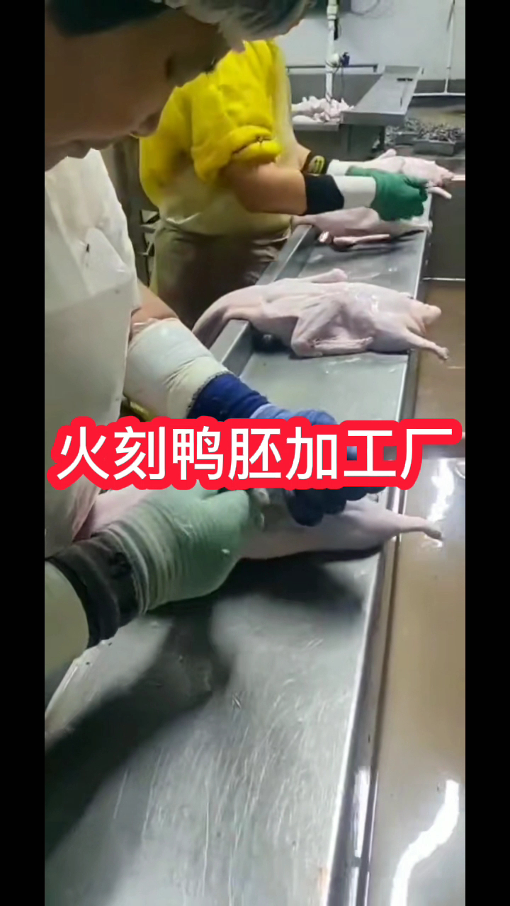 北京烤鸭代理加盟,果木碳烤鸭加盟费,火刻北京烤鸭鸭胚加工厂
