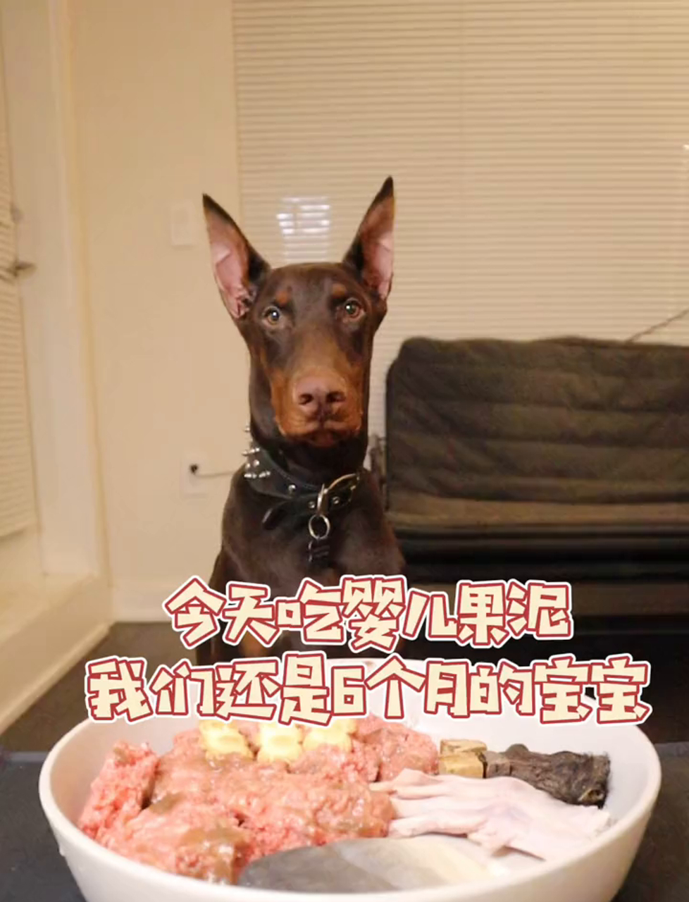 咱们家的小宝贝才六个月大呢