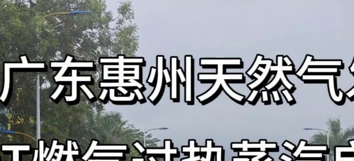 广东惠州天然气发电+100T燃气蒸汽锅炉