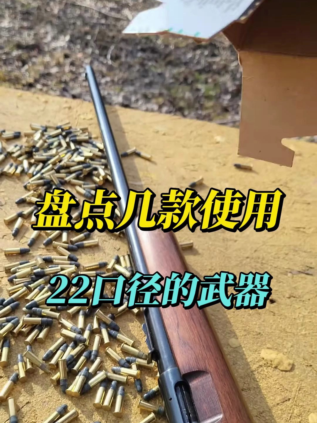 盘点几款使用点22口径子弹的武器
