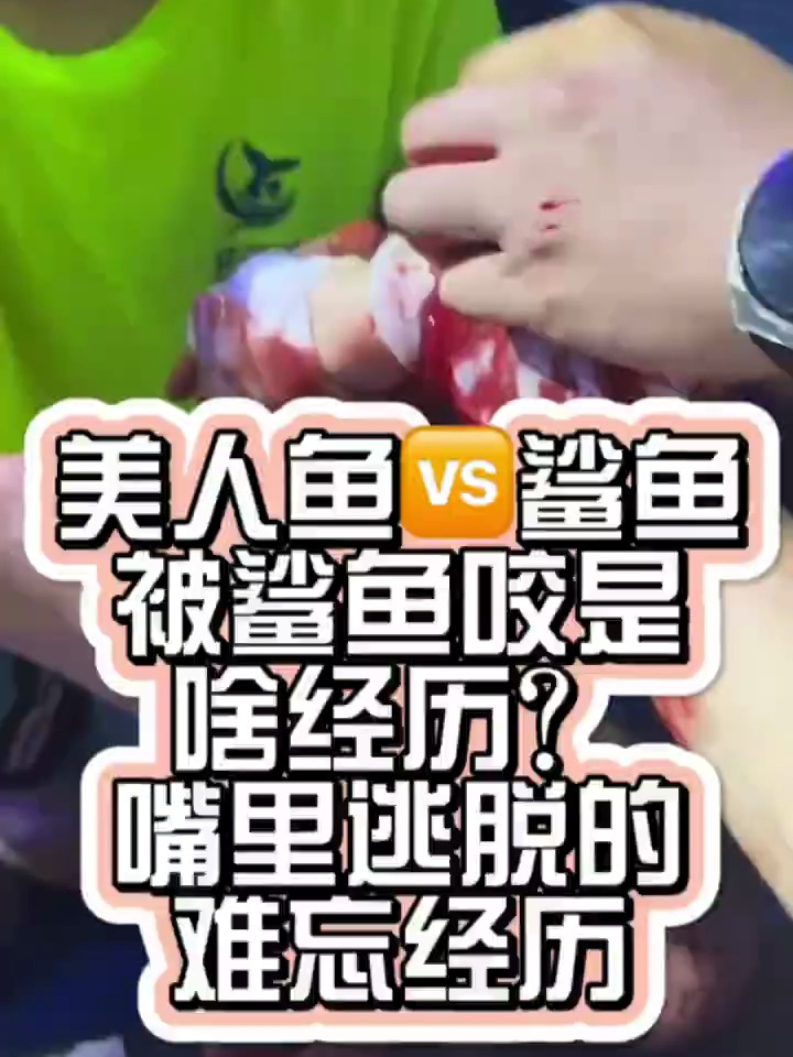 看到最后,美人鱼被鲨鱼咬的过程