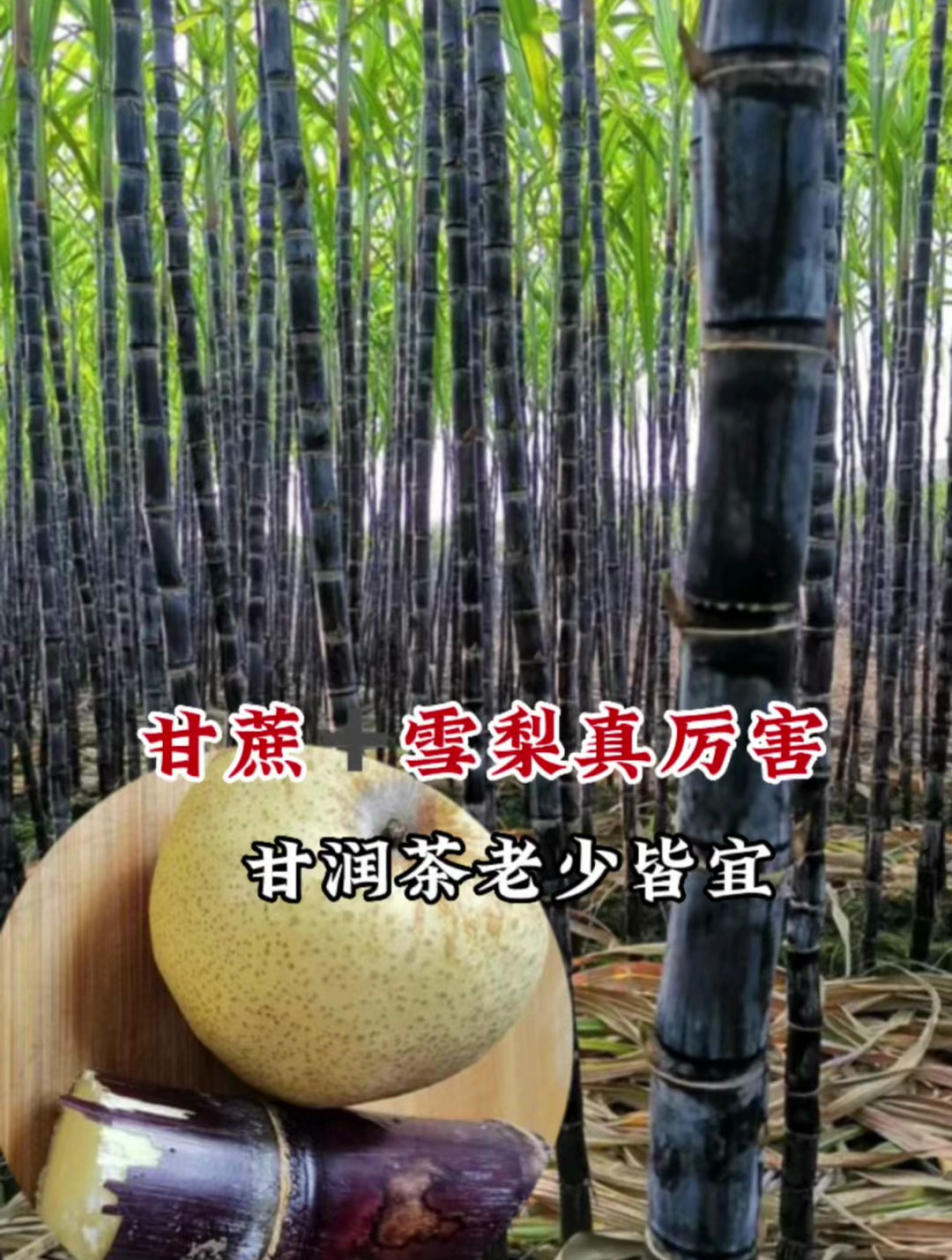 甘蔗+雪梨煮水真实用,90岁奶奶告知的润燥老法,大人小孩都能喝