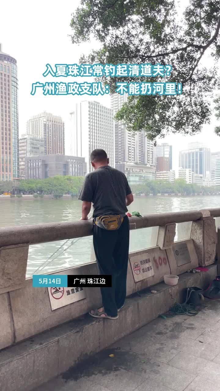 入夏广州市民常在珠江钓到清道夫 广州渔政支队:不能扔河里!
