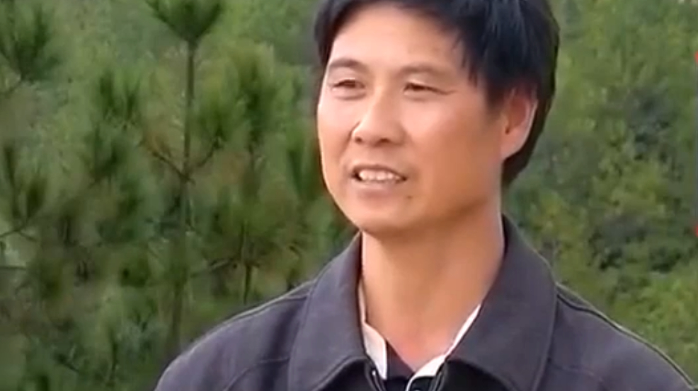 鸡1:木兰乡的山地鸡营养价值高 每天的运动量大 羽毛紧凑还能飞