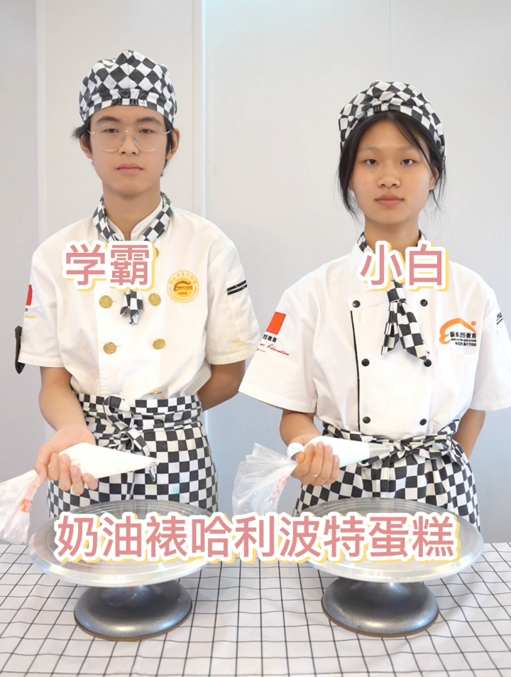 学霸vs学渣 奶油裱好利来爆款哈利波特蛋糕