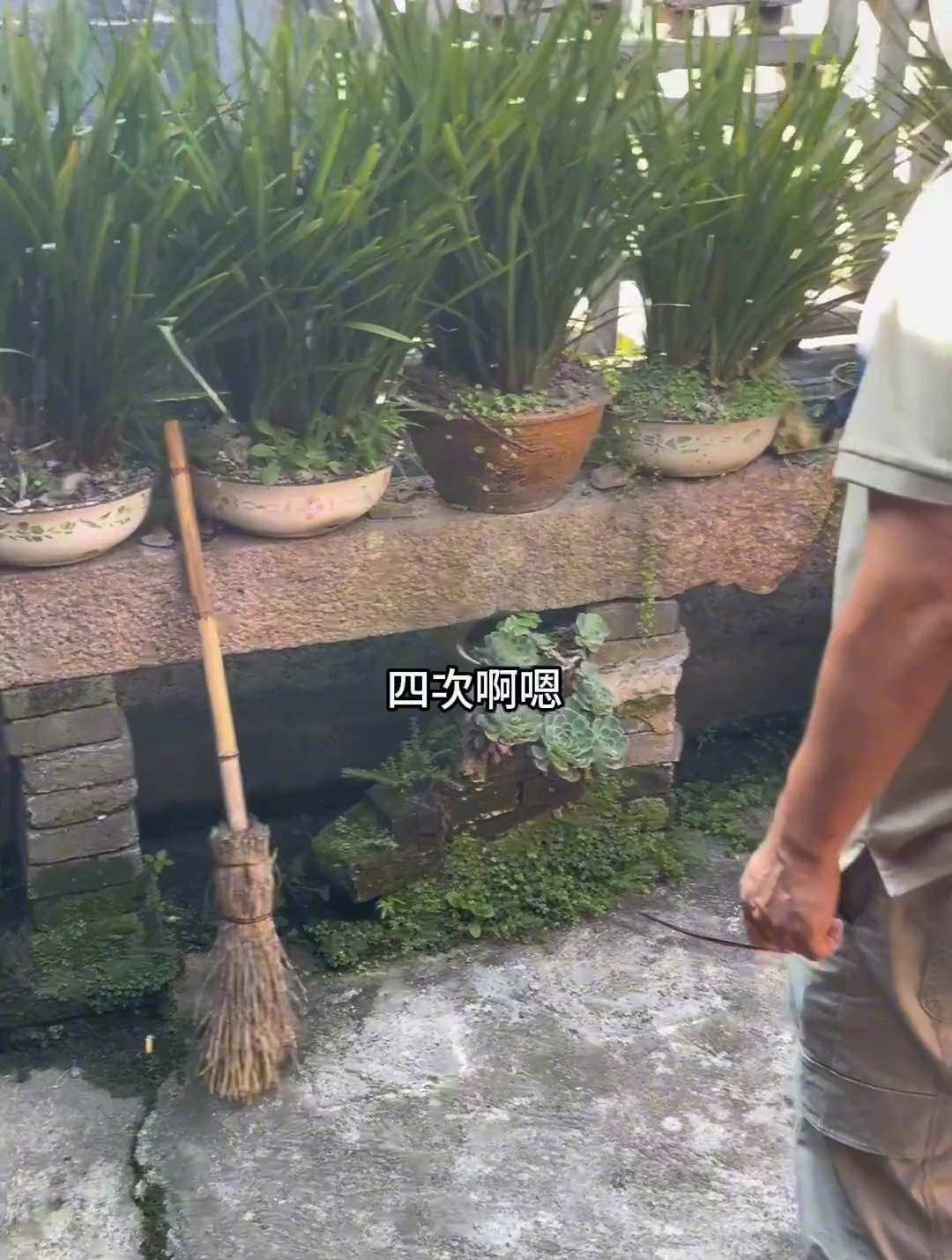 阿姨家种了许多兰花据说有上百年了,我看放兰花的架子时间更久远