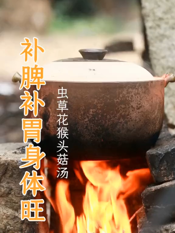 今天给家里人煲个强身健体的汤,猴头菇虫草花二重奏来啦!