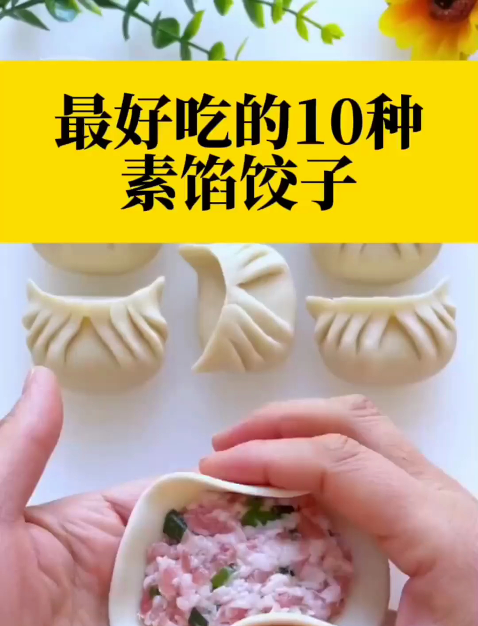 最好吃的10种素馅饺子!