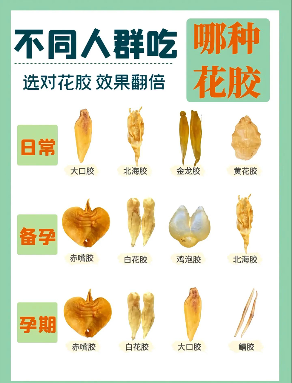鱼胶美食秘籍,花胶汤做法大集合,养生必备!