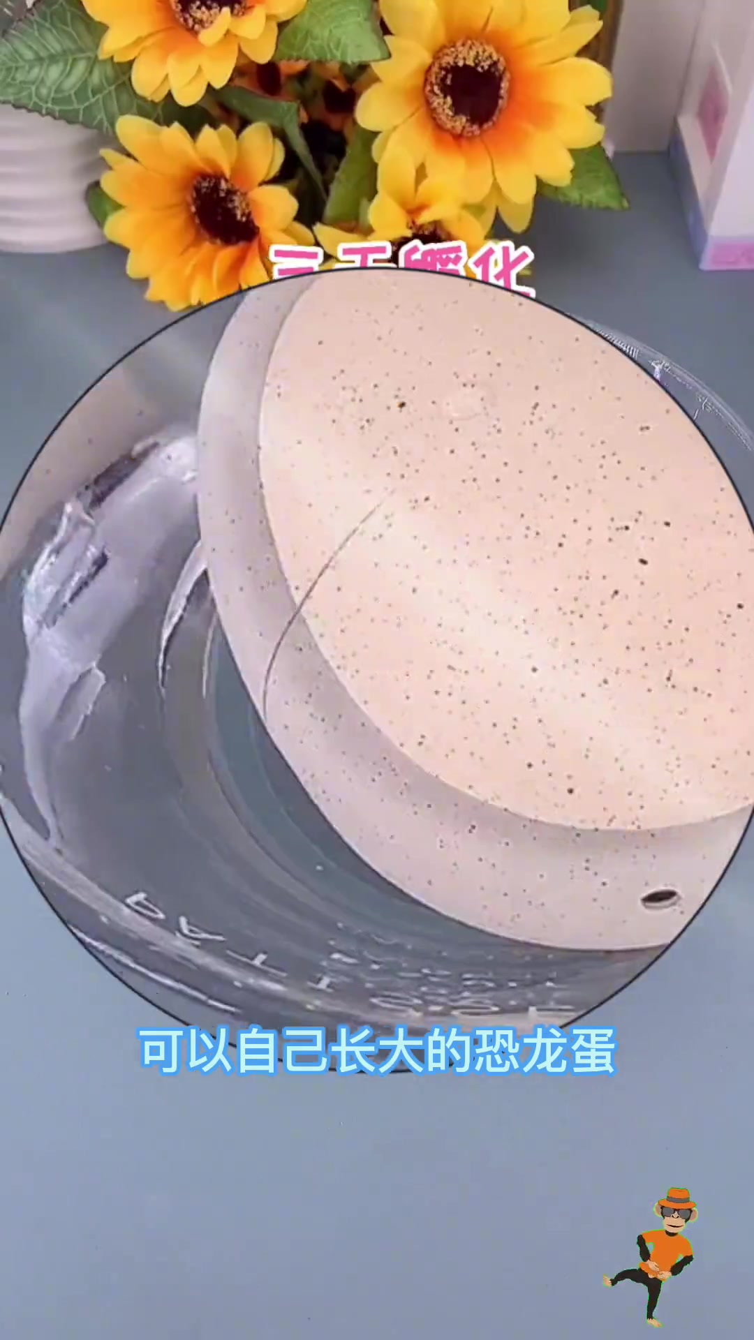 小朋友爱玩的泡水恐龙蛋,模拟孵蛋过程