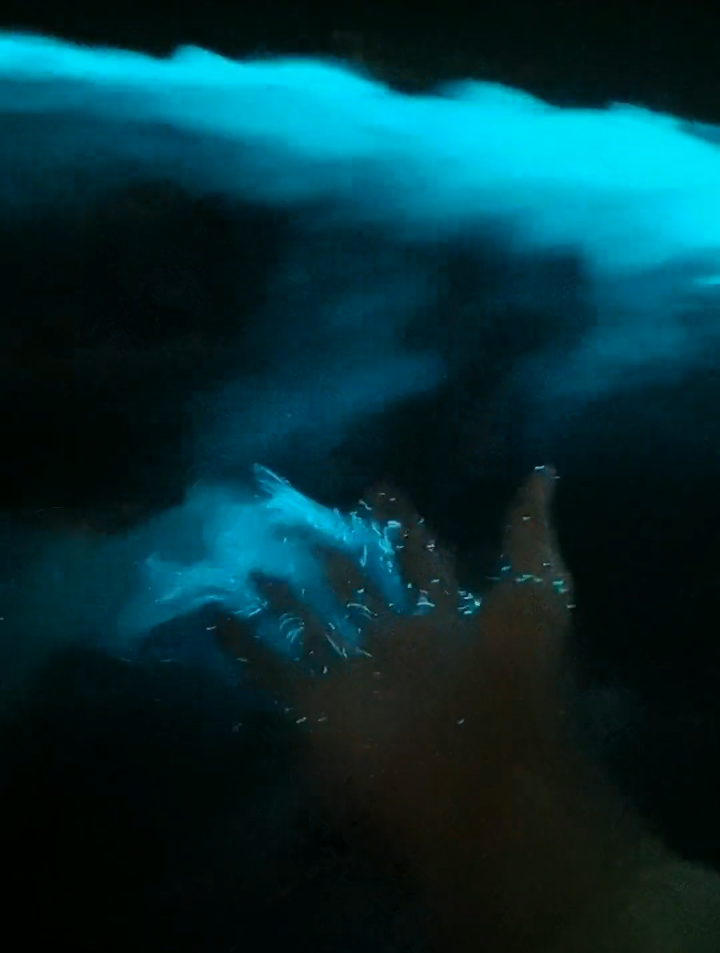 看着小鱼跃出水中,划出一道蓝光,仿佛置身在梦幻的星空中