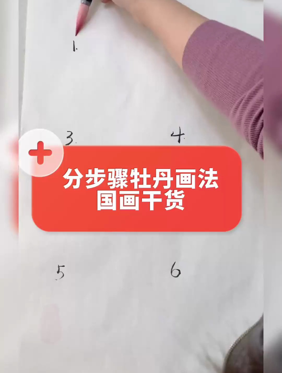分步骤讲解牡丹画法,你一定能学会