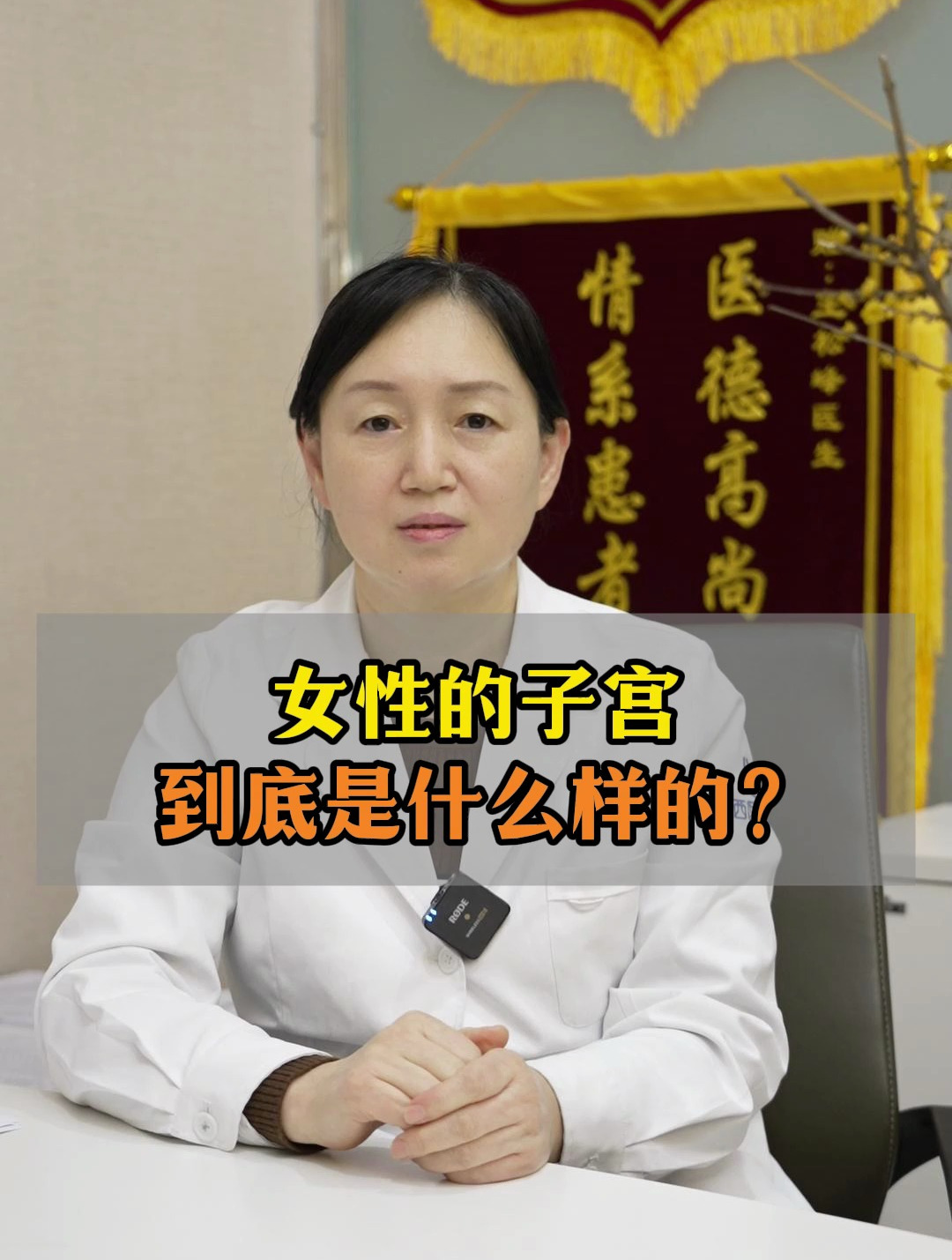 女性的子宫到底是什么样的?