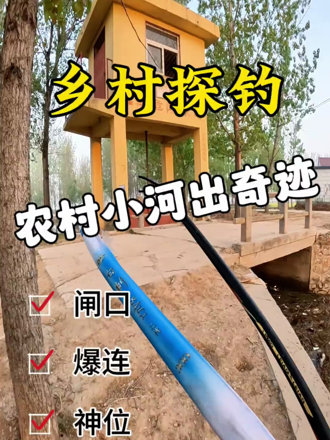 原来都跑小河来了,哈哈,这样的鱼情我是真不想收啊