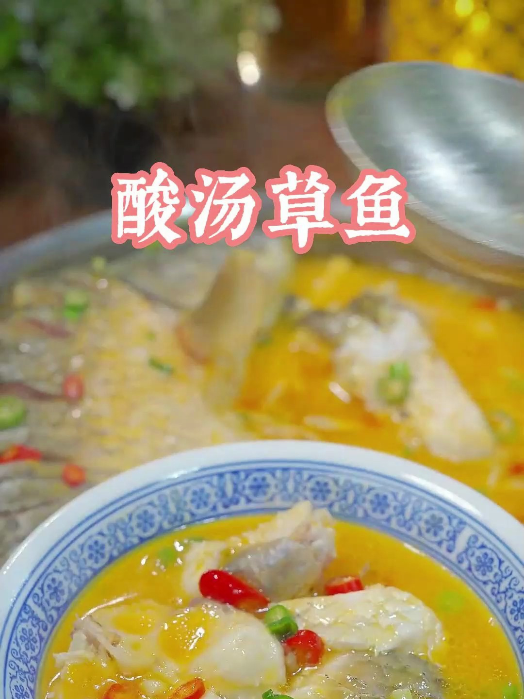 家常菜酸汤草鱼的做法