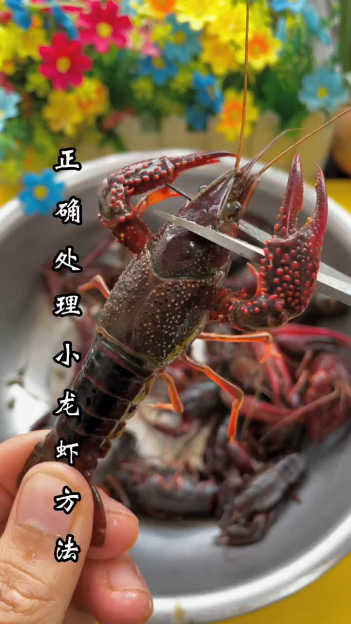 小龙虾正确处理方法