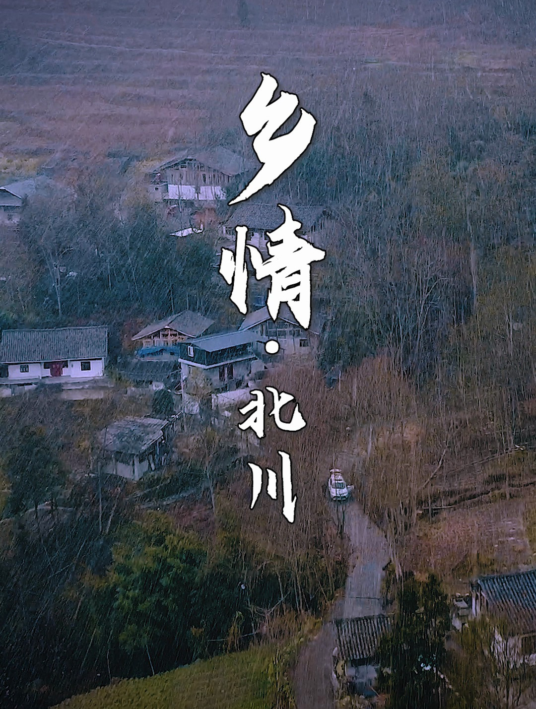 年味·乡情|杀年猪咯!刨汤肉
