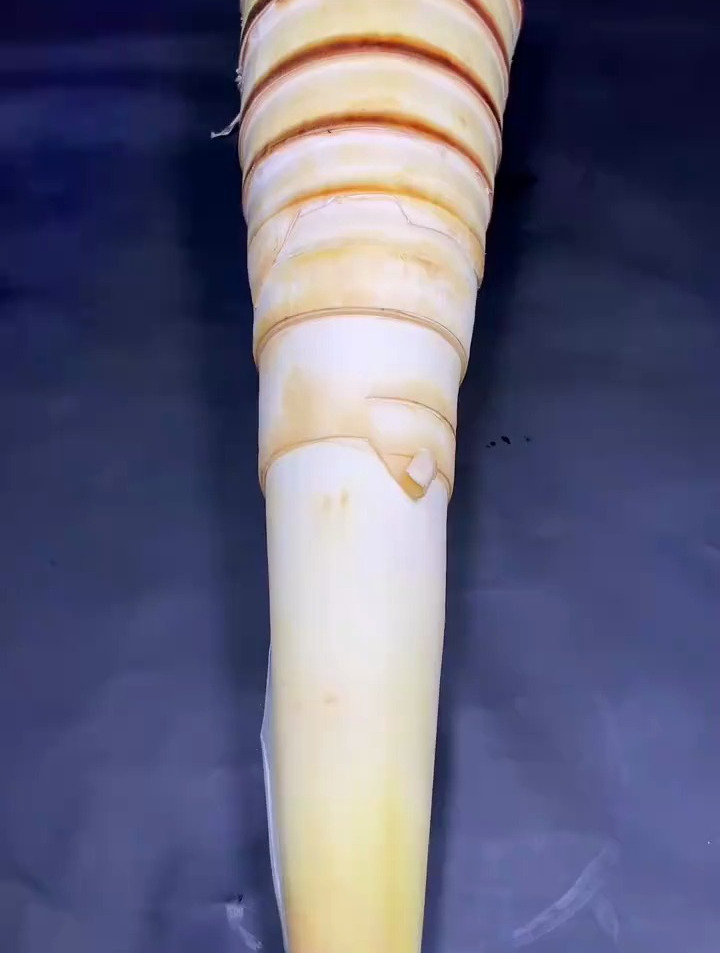 广西特色甜脆笋制作方法