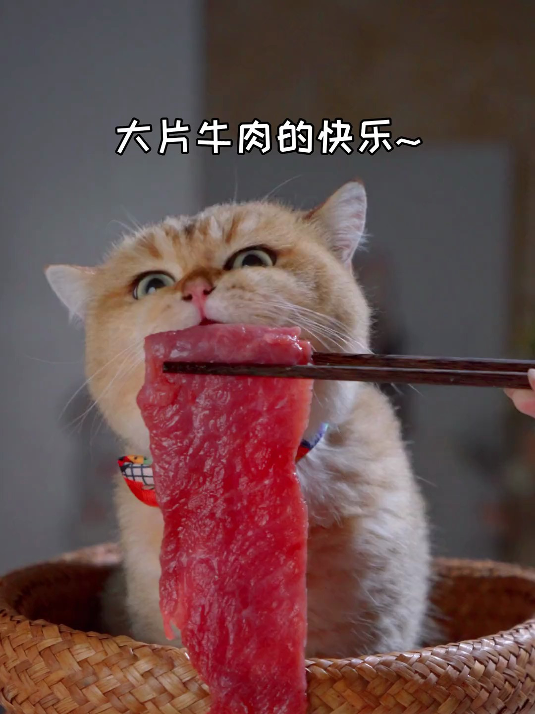 大刀牛肉,果然带劲!