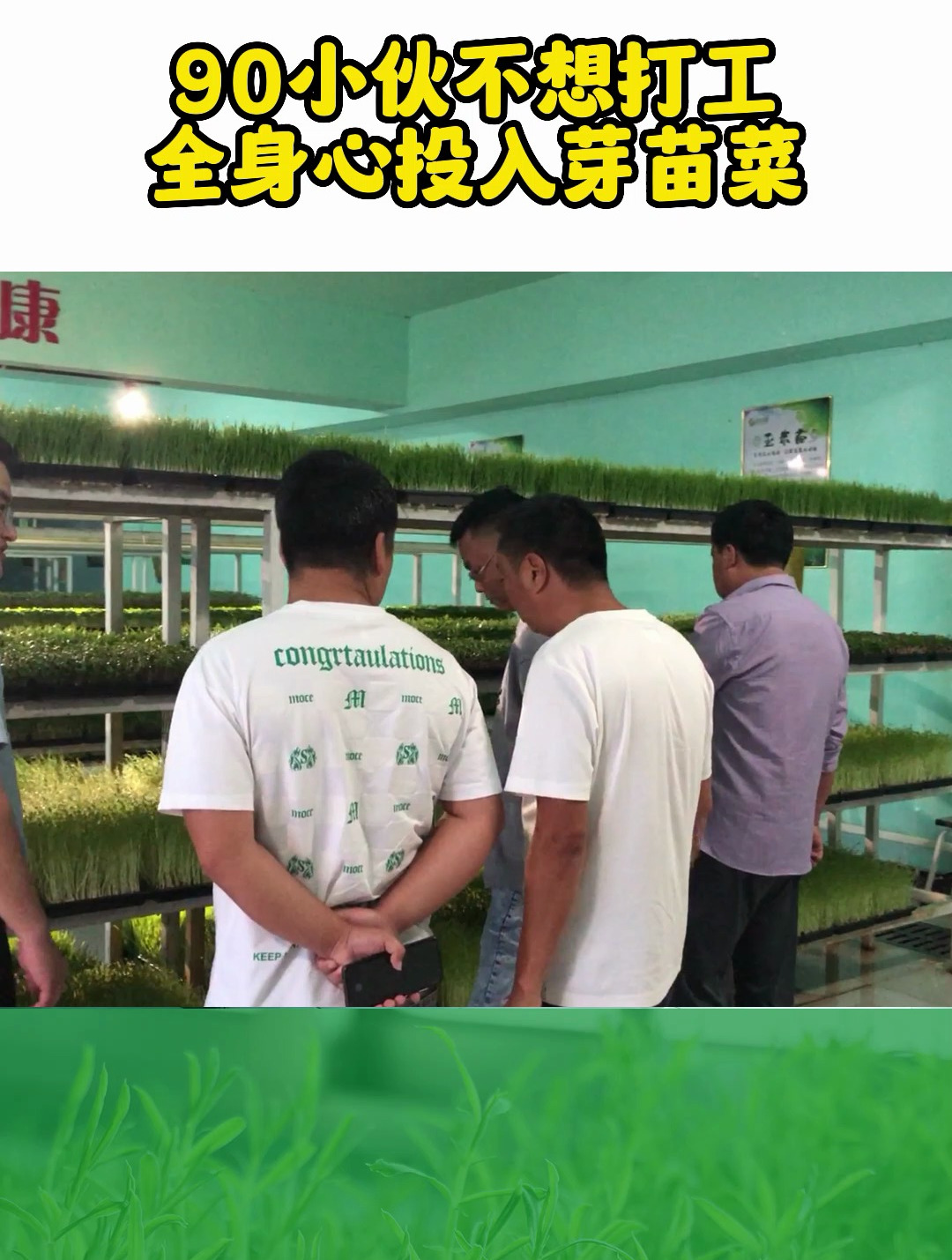 90后小伙不愿意继续给人打工,选择回乡自己做事业,种植芽苗菜