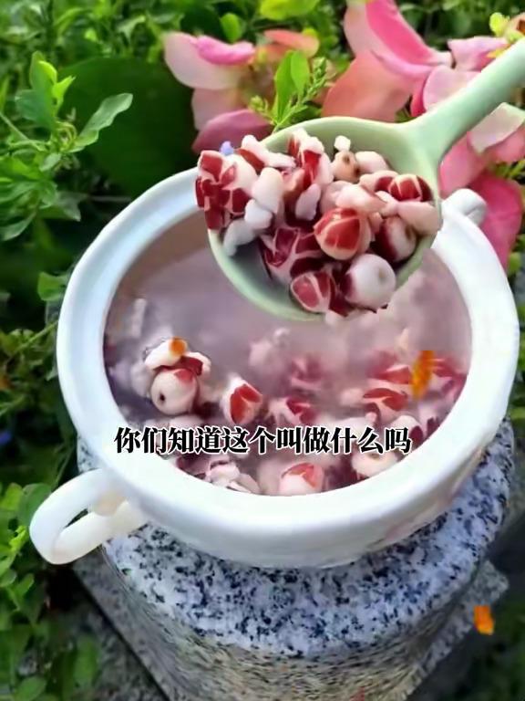 芡实,也叫鸡头米,煮好后这个吃起来口感软软糯糯的非常好吃