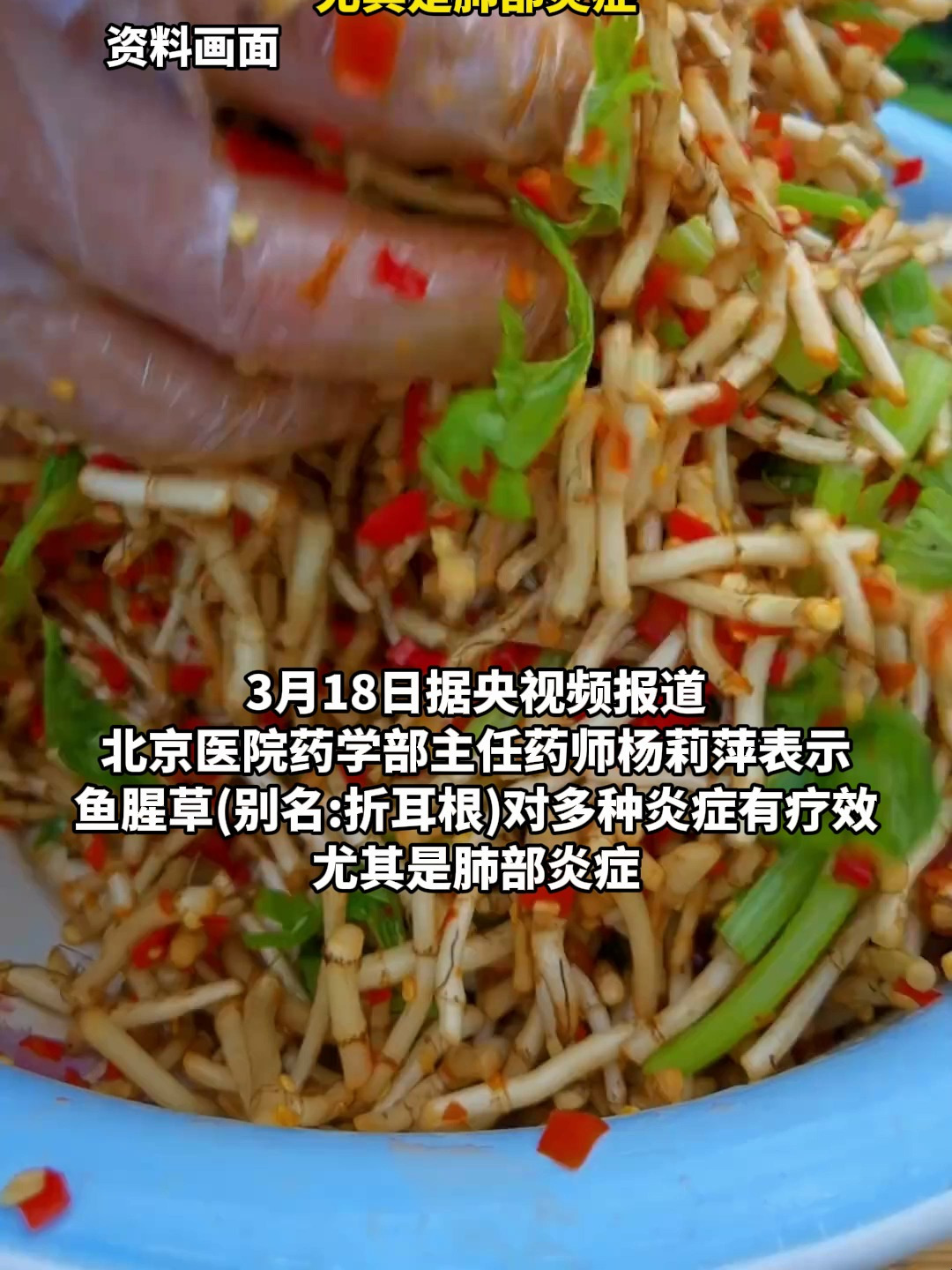 折耳根是天然抗生素,对多种炎症有疗效