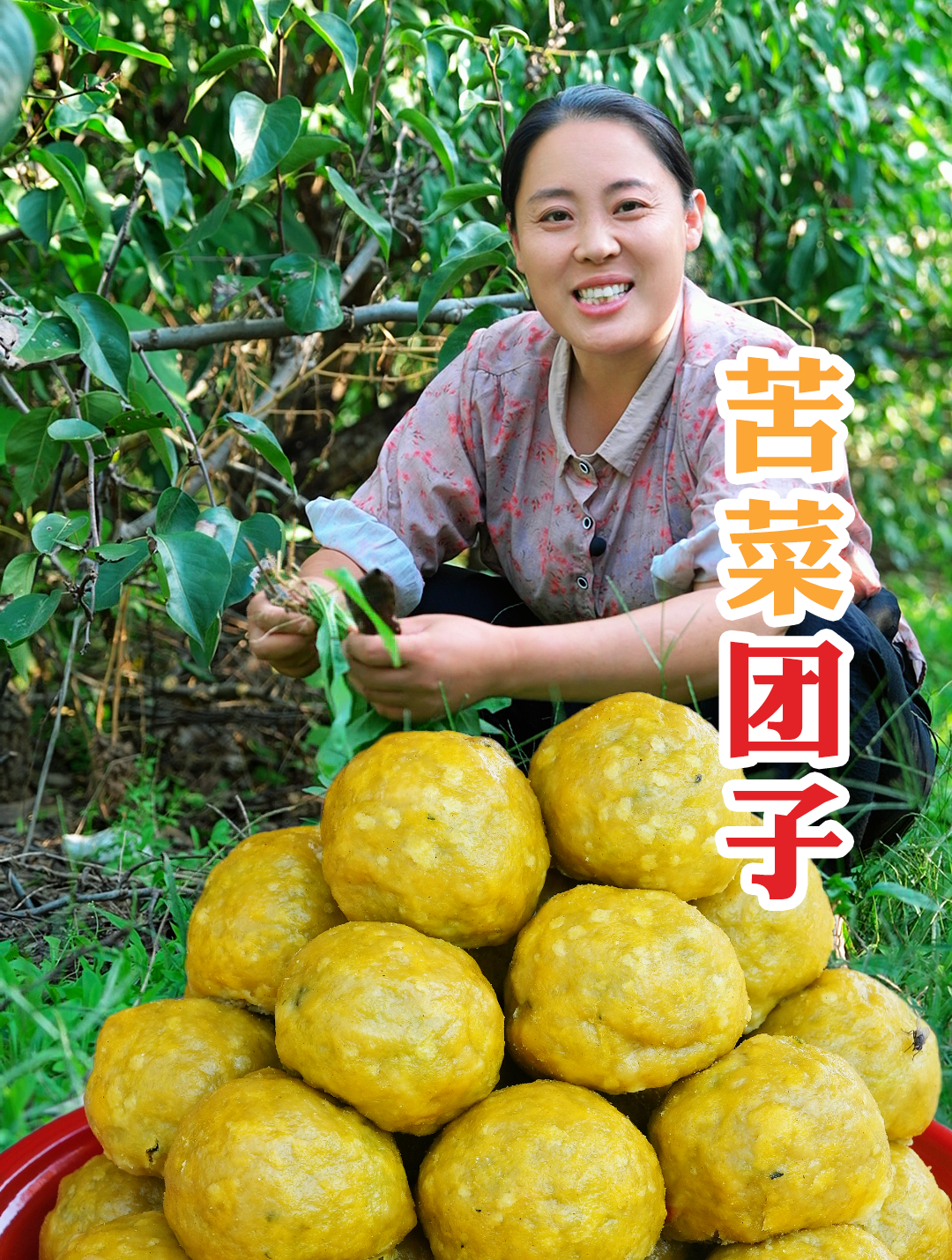 今天来分享一个苦菜团子的做法,让你在家也能品尝到独特的美味