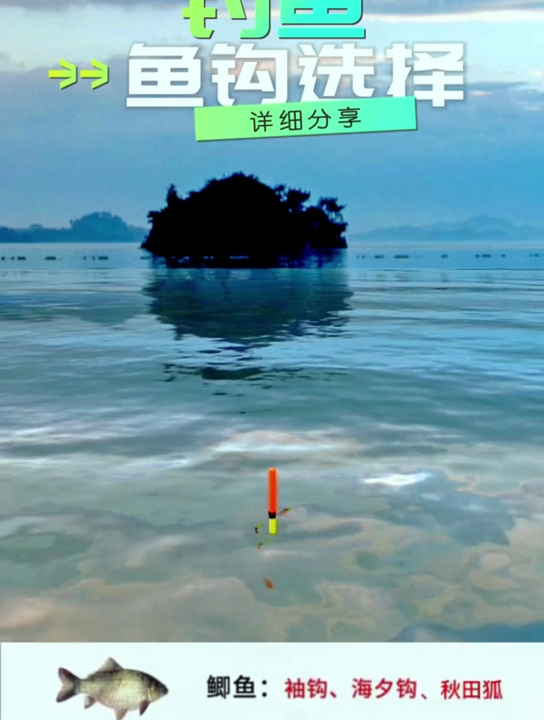 钓鱼鱼钩怎么选择?今天详细分享!
