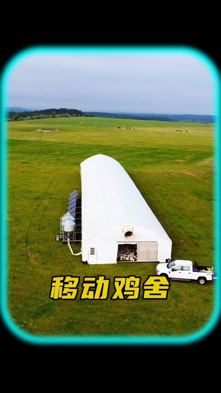 移动鸡舍的优点和缺点