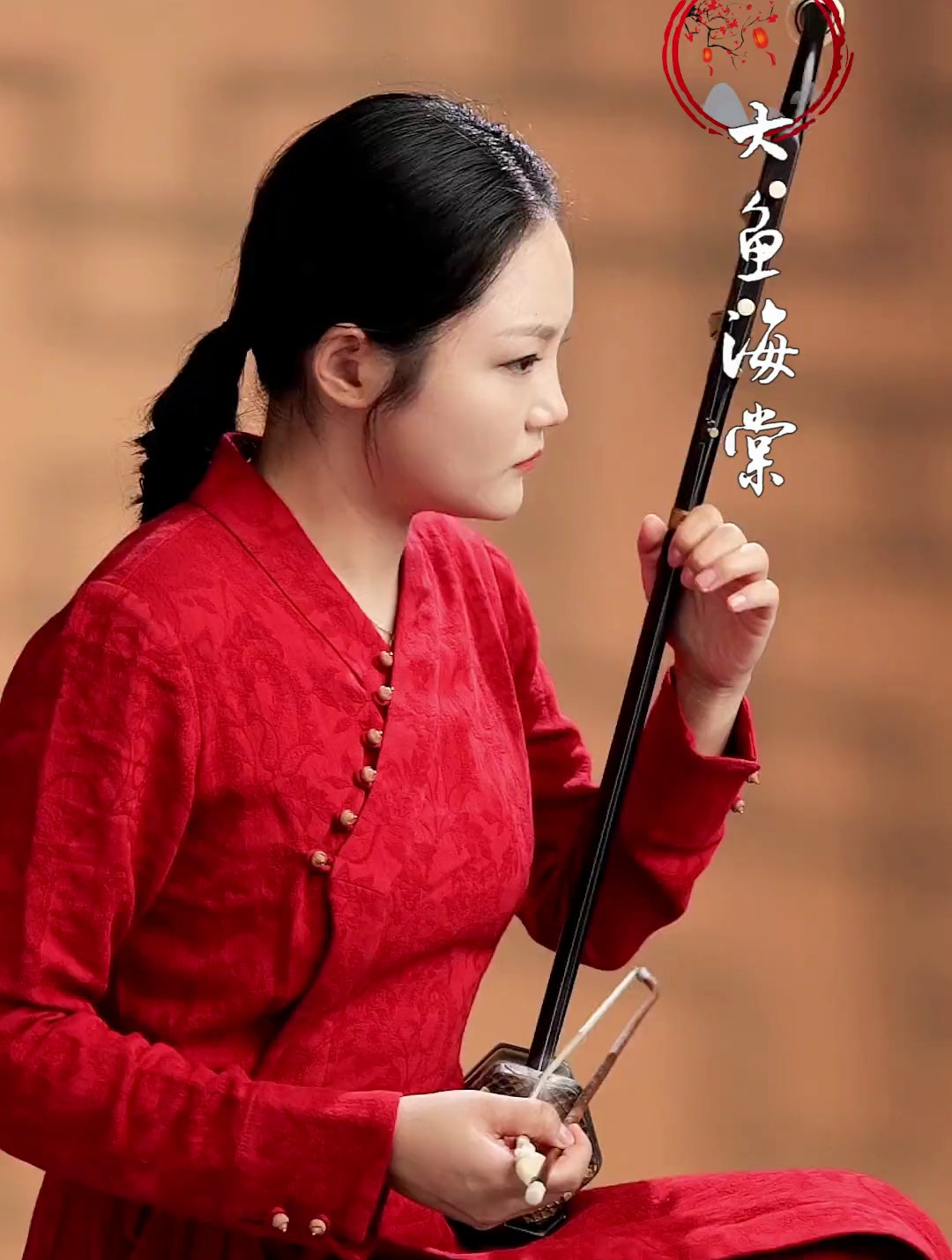 《大鱼海棠》守护和坚持本心,二胡,民族乐器