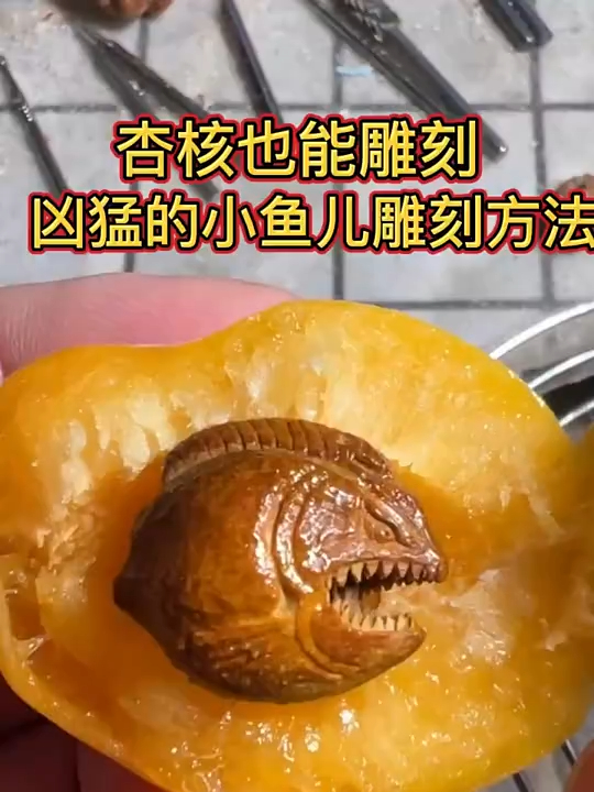 杏核也能雕刻凶猛的小鱼儿雕刻方法
