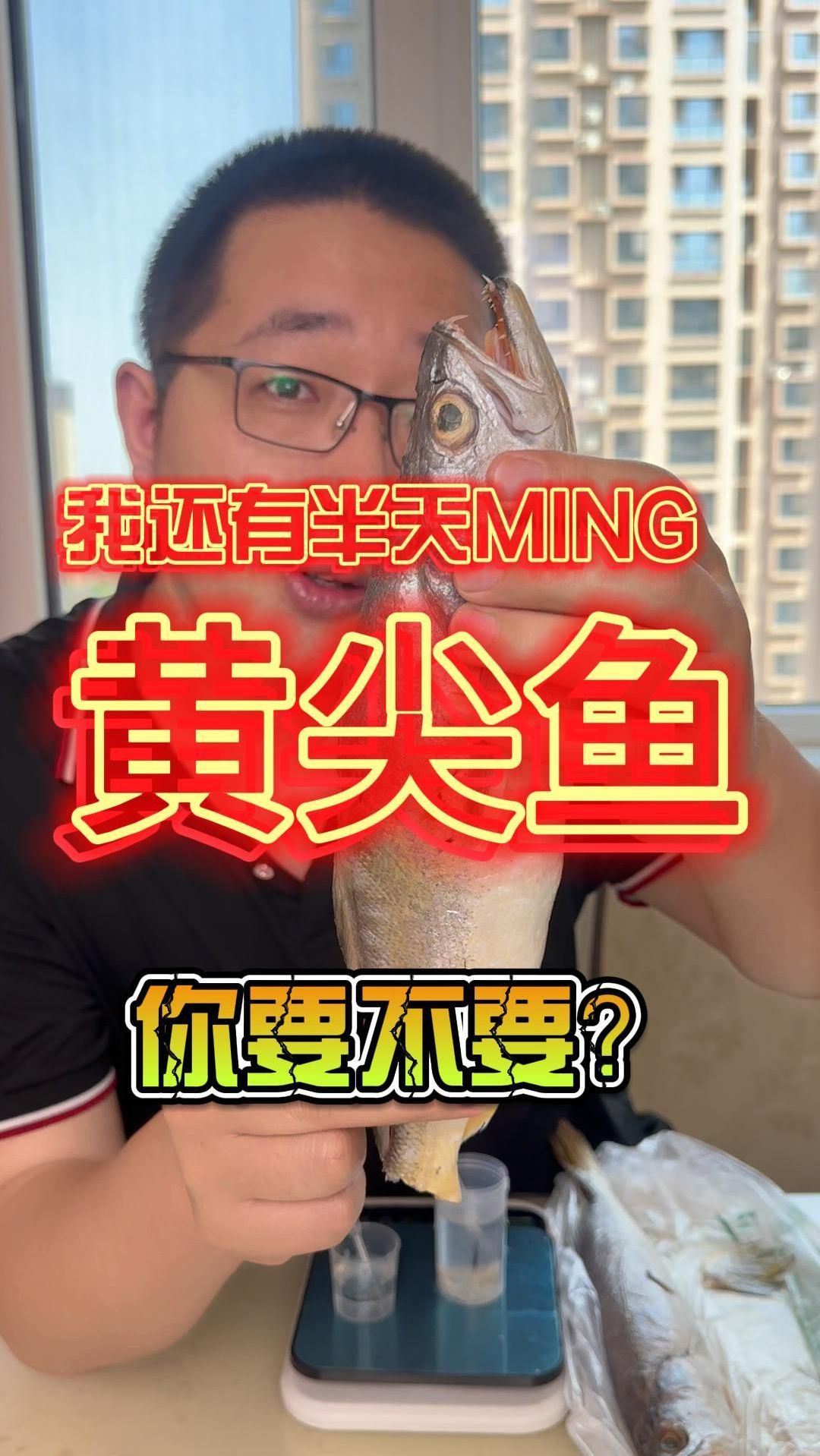 海产刺客再现 宝妈们爱吃的黄尖鱼