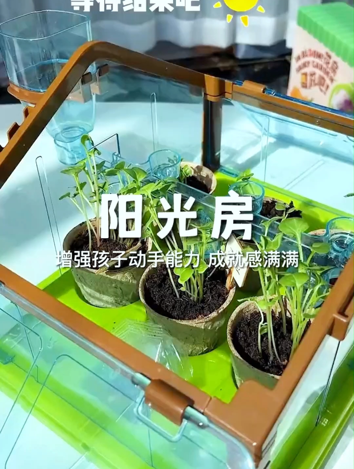 和孩子一起播种，让孩子近距离观察植物生长过程，了解植物生长