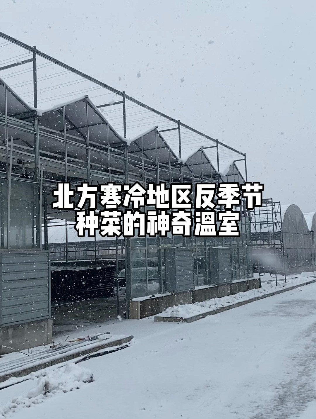 北方寒冷地区反季节种植的蔬菜大棚