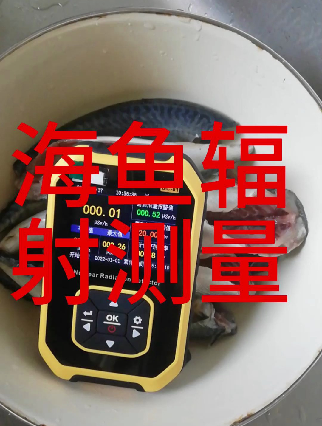 海鱼辐射测量,鱼肚子里测量到了