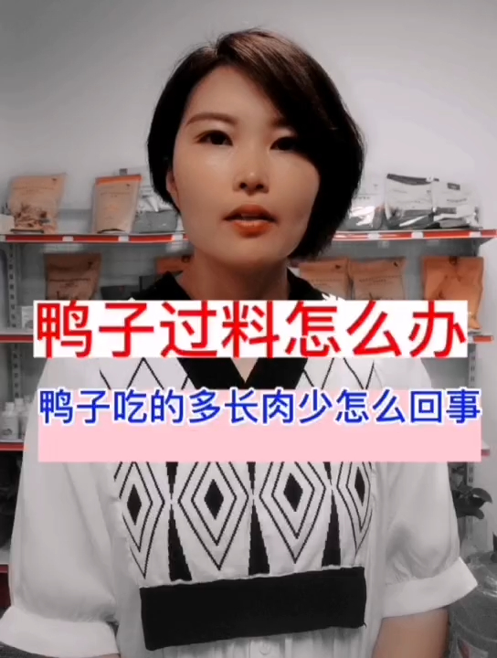 禽医静心谈鸭子过料怎么办鸭子吃的多长肉少怎么回事
