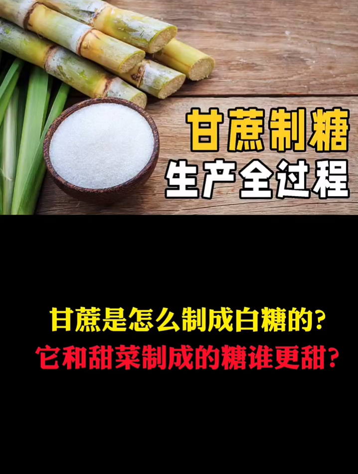 甘蔗是怎么制成白糖的?它和甜菜制成的糖谁更甜?