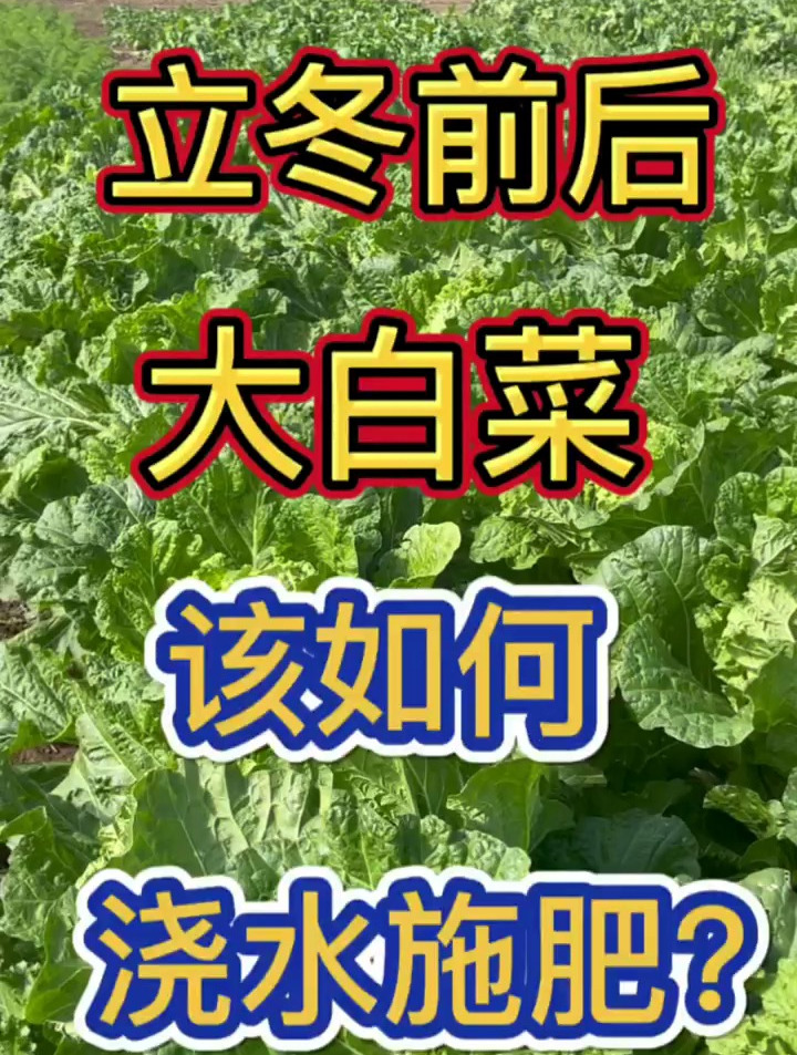立冬前后该如何浇水施肥!