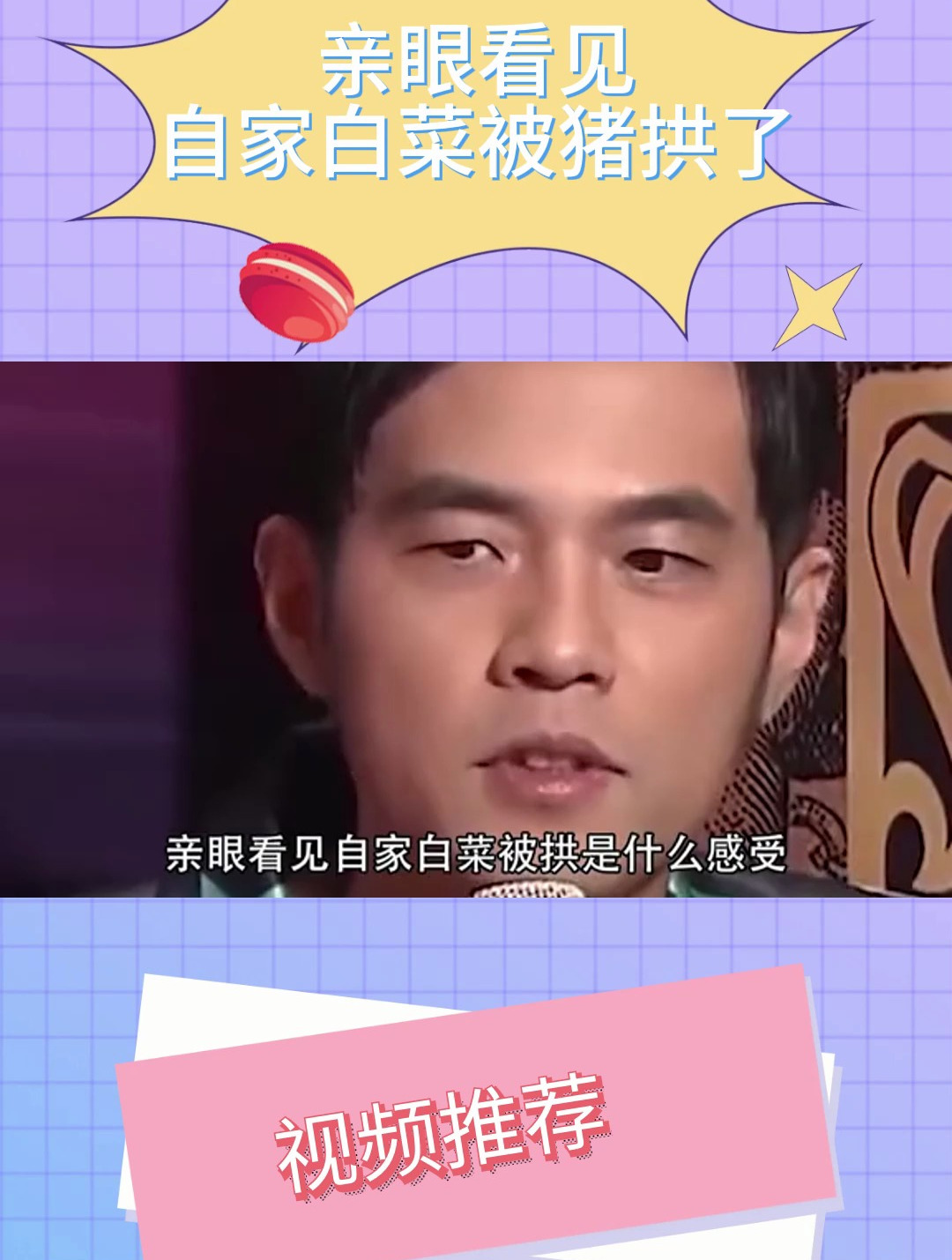 亲眼看见自家白菜被猪拱了