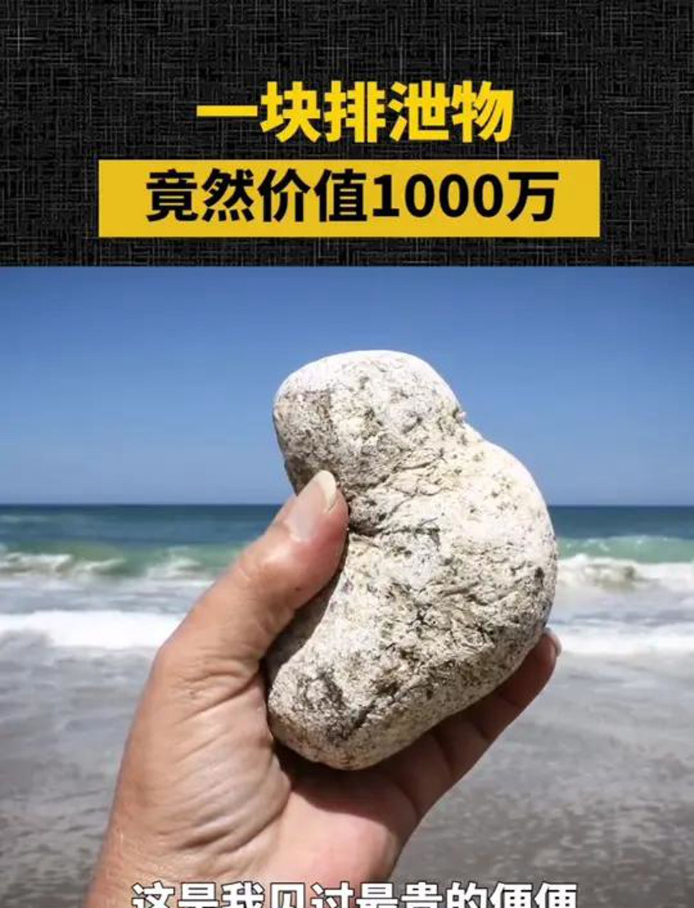 被骗了这么多年!原来大牌香水的原料竟然是抹香鲸的便便!