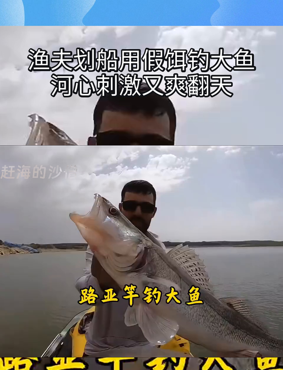 渔夫划船用假饵钓大鱼,河心刺激又爽翻天
