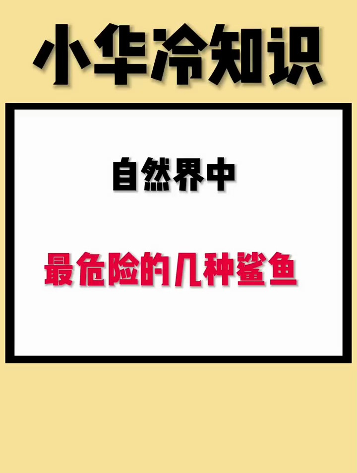 自然界中最危险的几种鲨鱼!