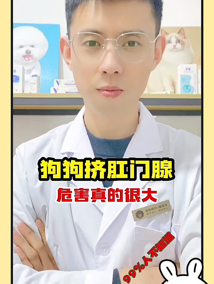 狗狗不要乱挤肛门腺