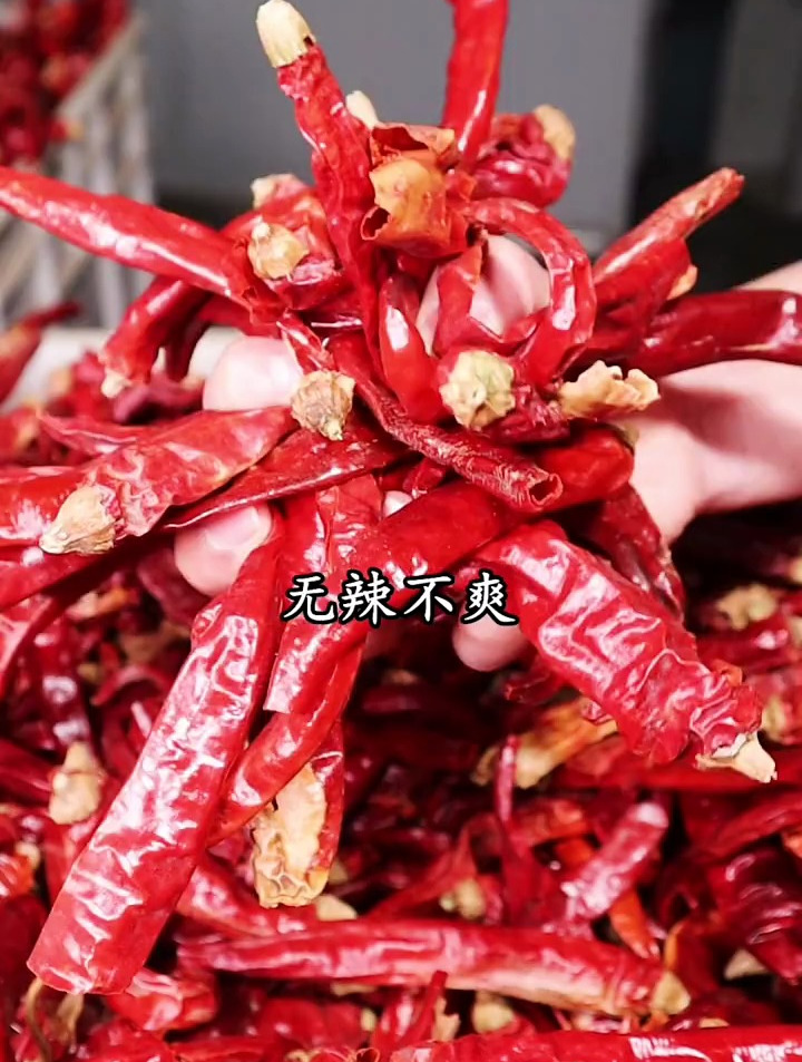 舌尖上的美食 川菜 麻辣小龙虾,鲜嫩乌江鱼,爱了不!