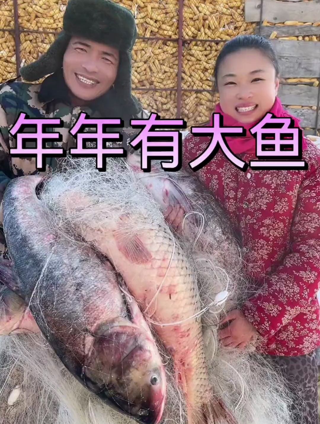 这鱼老大了,都得十多斤