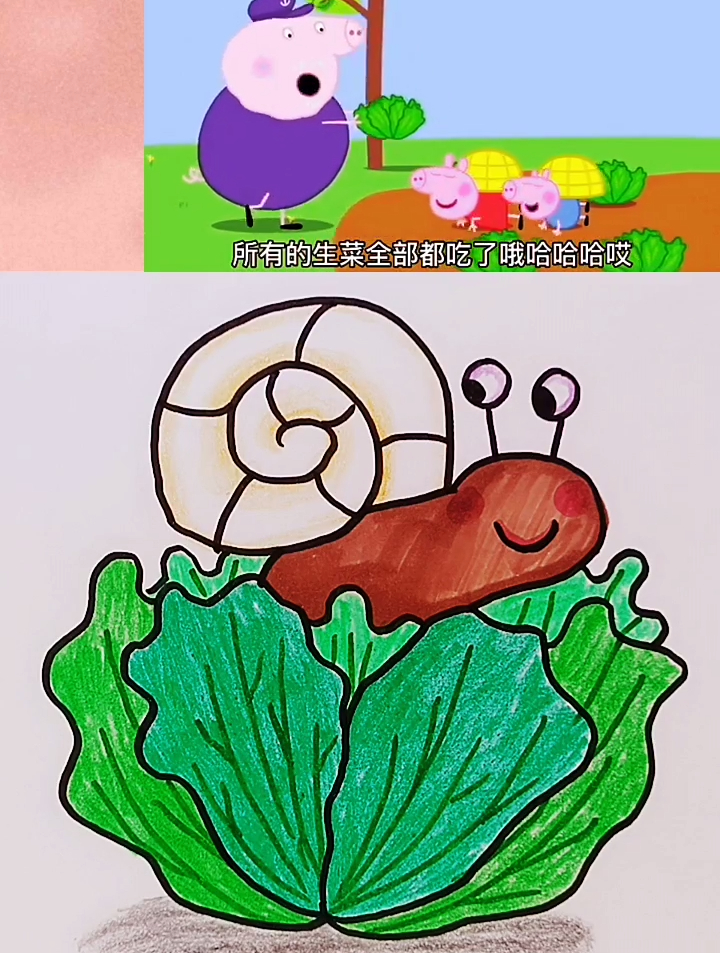 生菜里有一只可爱的小蜗牛,简笔画,益智早教