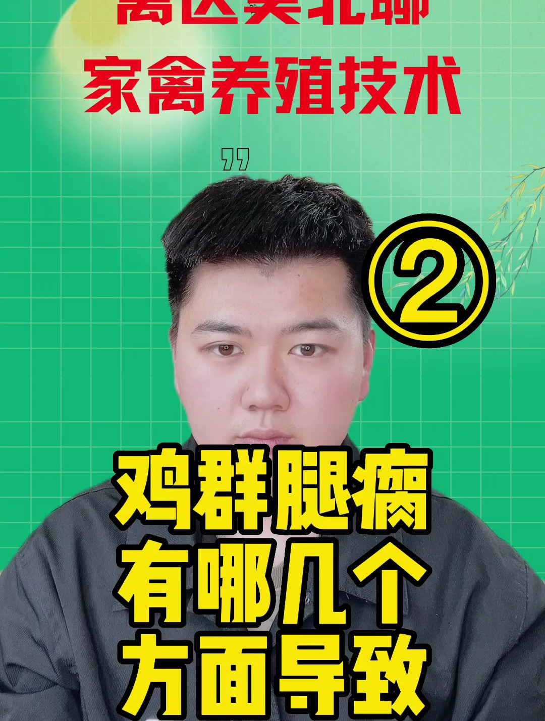 鸡站不起来是什么原因成年鸡突然站不起来了咋回事
